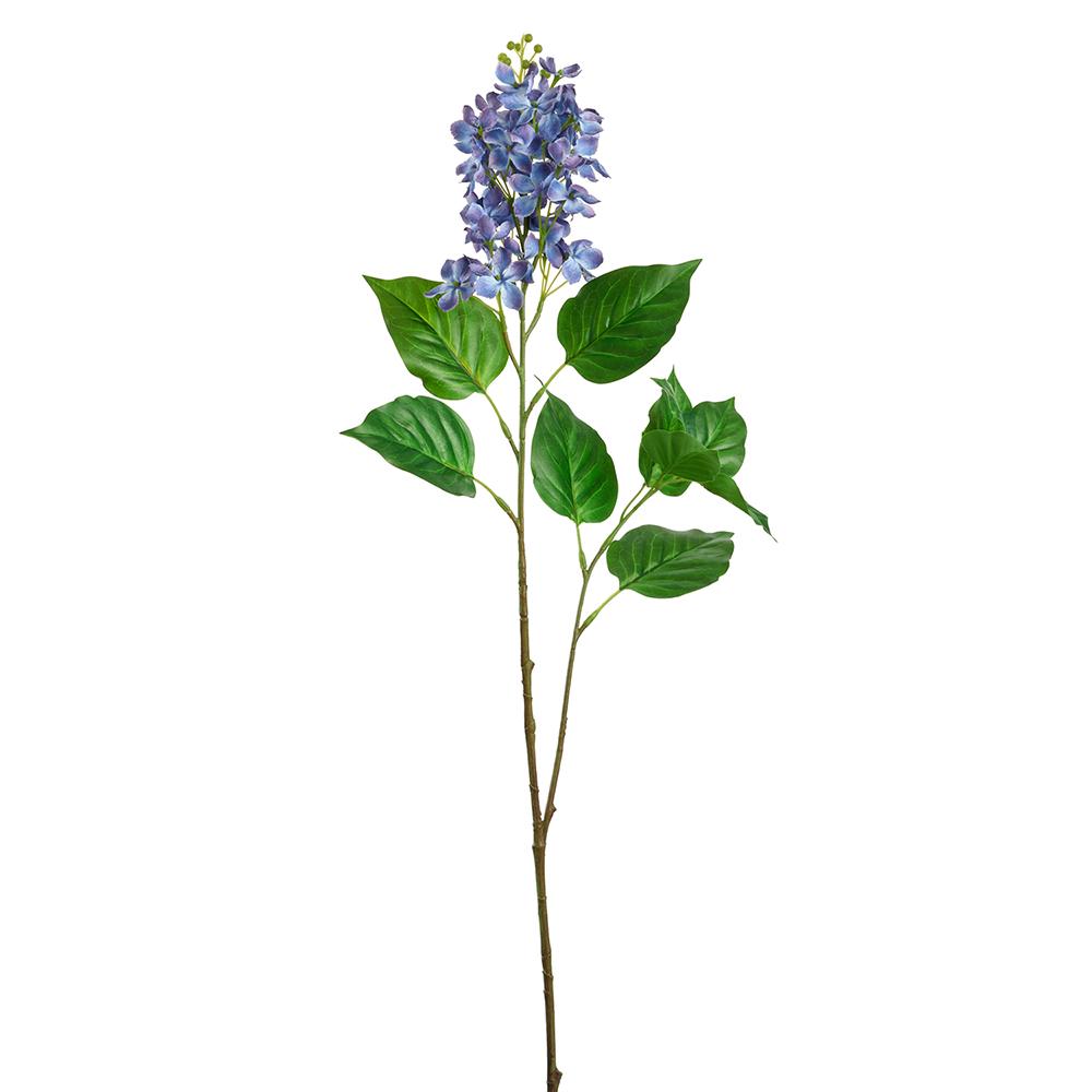 Spray Lilac 30" Blue