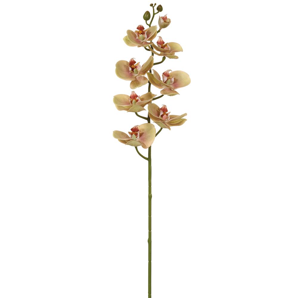 30" Green Phalaenopsis Orchid Spray