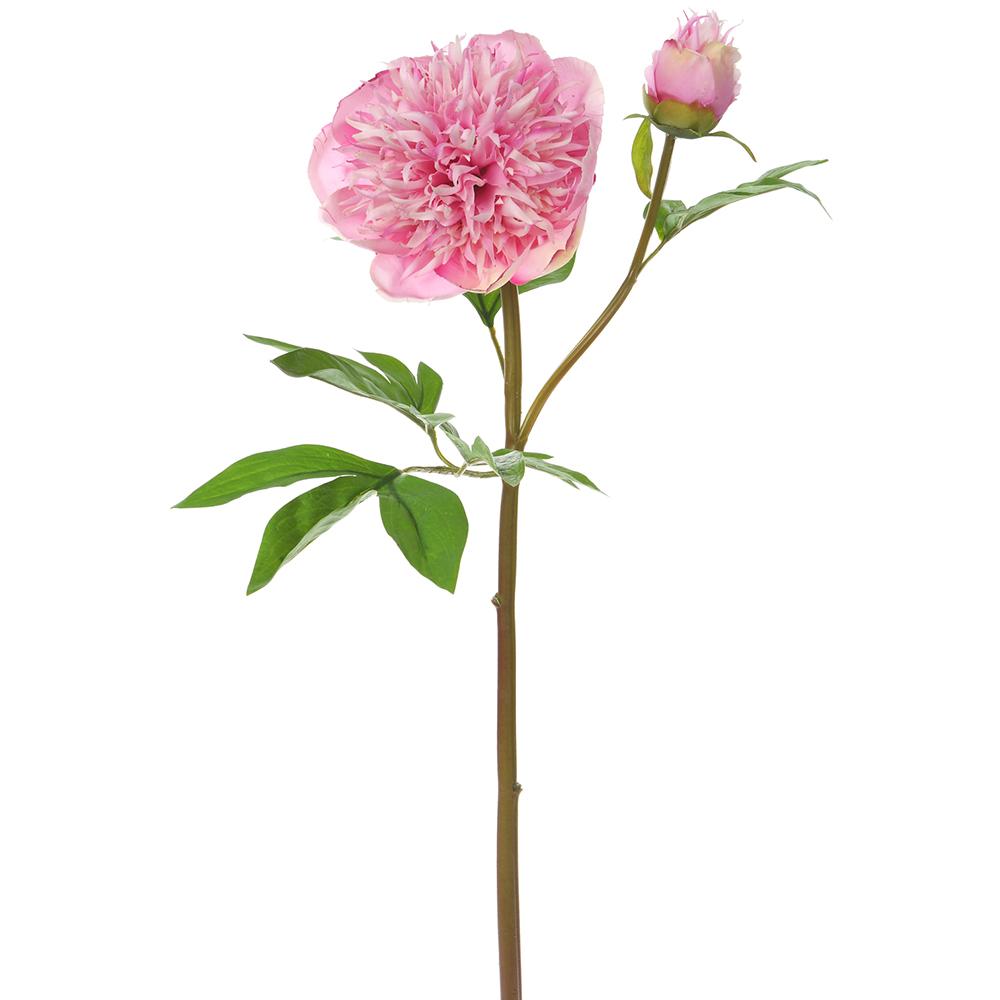 24" Pink Ombre Peony Spray