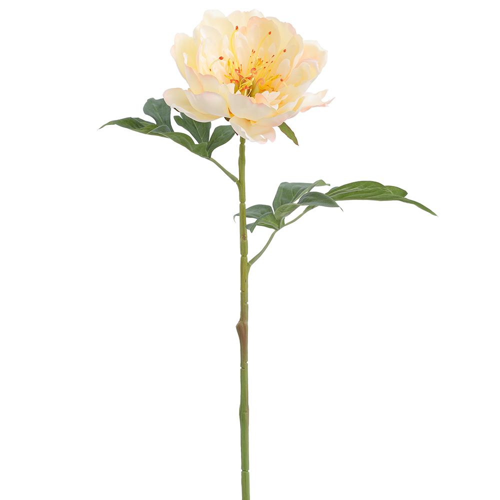 Spray Peony 19" Yellow/Peach