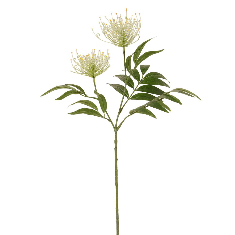 29" Protea Spray