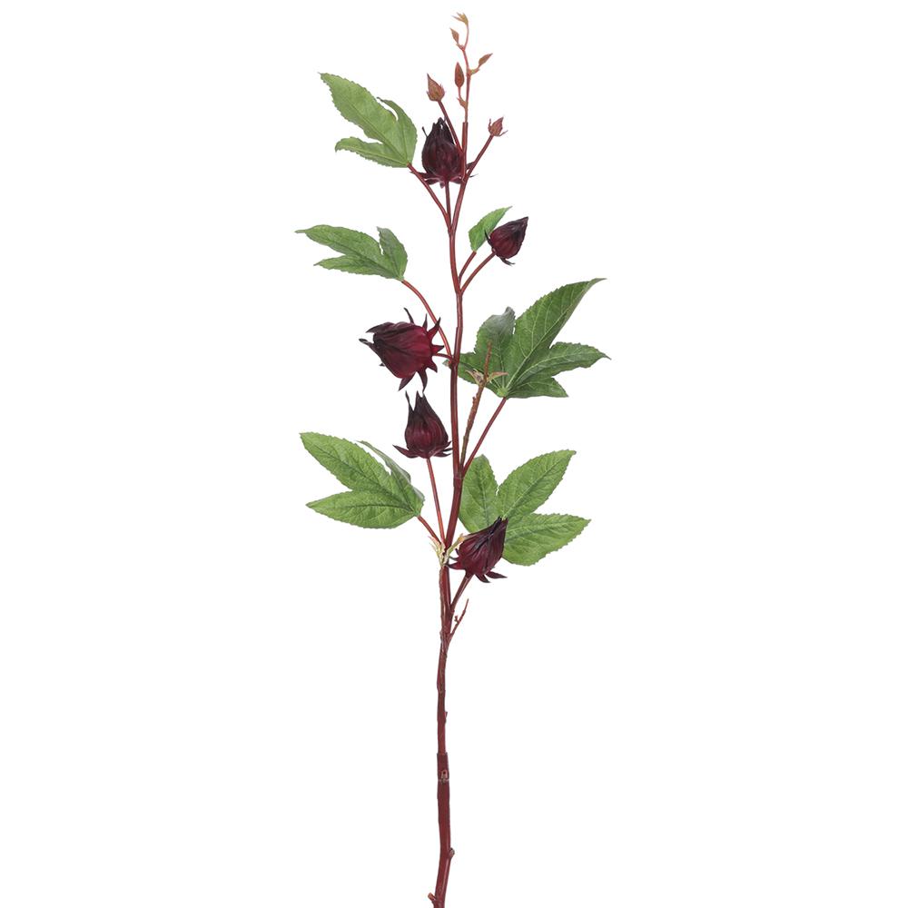 32" Burgundy  Roselle Spray