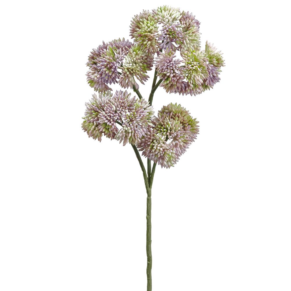 12" Purple Sedum Spray