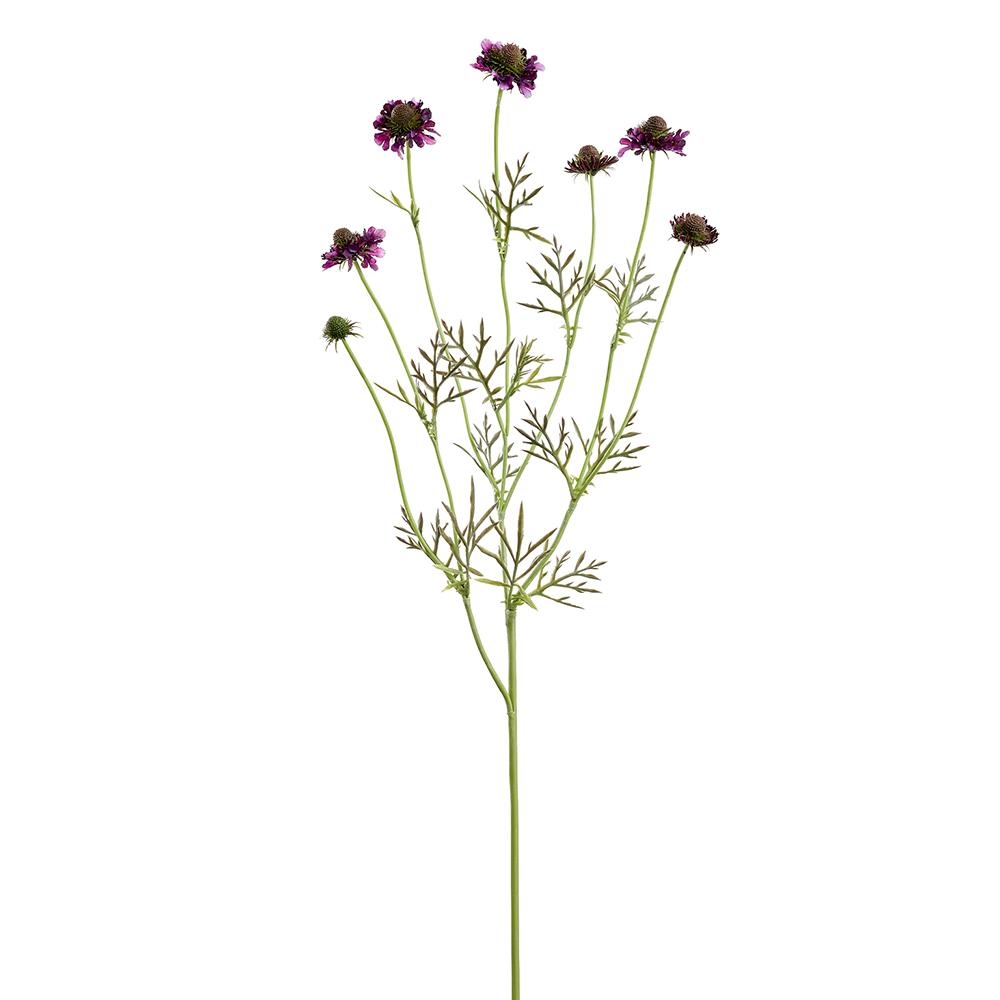 35" Plum Scabiosa Spray