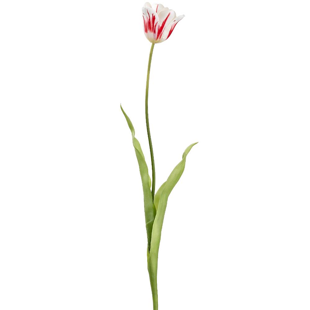 28" White/Red Tulip Spray