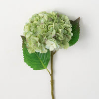 21" Green Hydrangea Spray