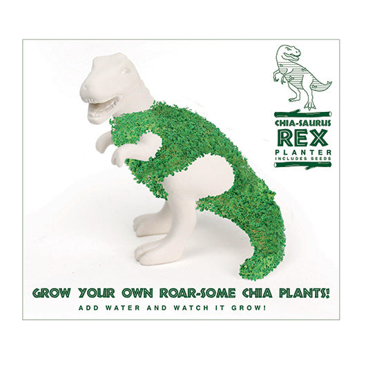 Chia-Saurus Rex Chia Grow Kit