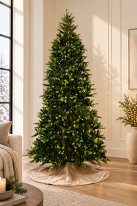 Grand Illumination Christmas Tree