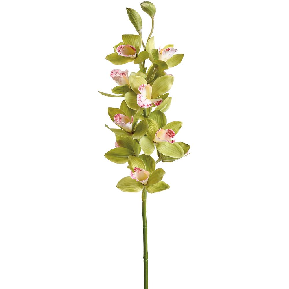 38" Cymbidium Orchid Spray