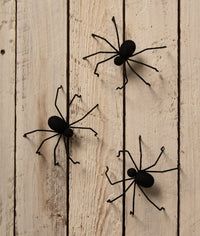 Black Flocked Creepy Crawler - Bethany Lowe