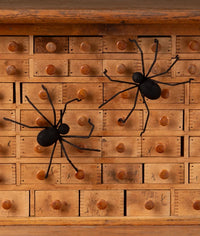 Black Flocked Creepy Crawler - Bethany Lowe