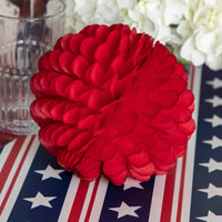 Stars and Stripes Runner