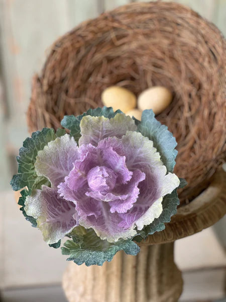 10" Aurora| Finery Cabbage Stem