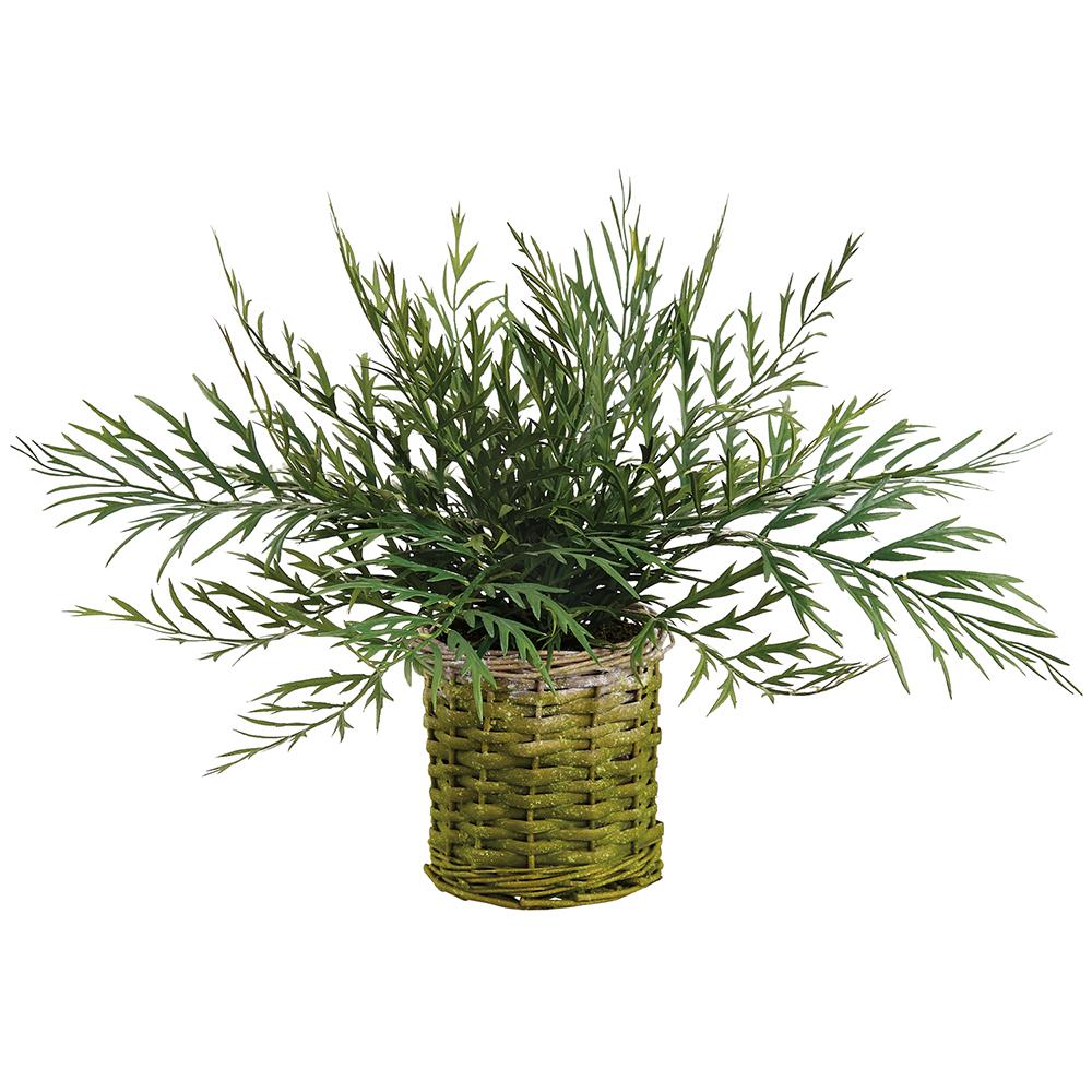 15.5" Green Hen and Chicken Fern Plant in Basket