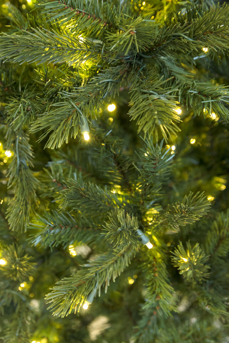 Kensington Fir Christmas Tree with 5mm LED