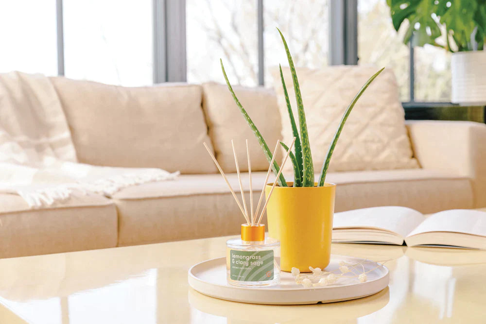 Finding Balance Grounding Aloe Grow Kit & Aroma Diffuser