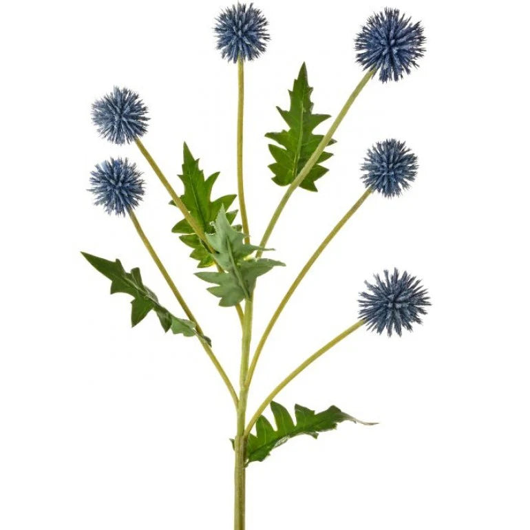 24" Blue Echinops Spray