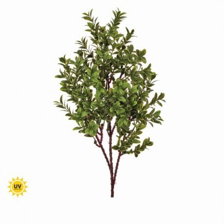 16" Green UV American Boxwood Spray