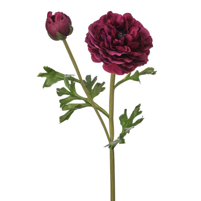 19" Purple Ranunculus with Bud