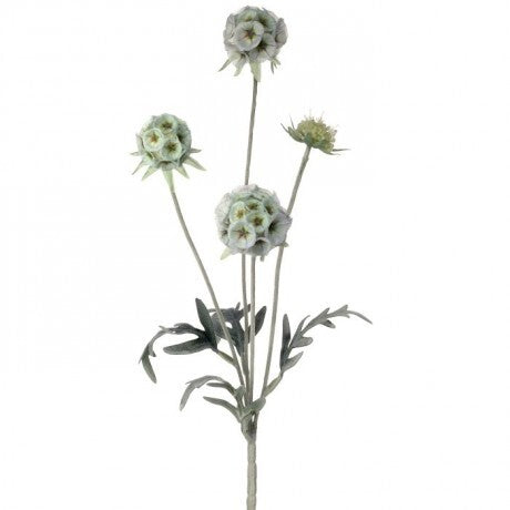 23" Butterscotch Garden Scabiosa Spray