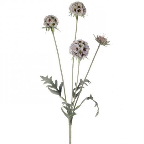 23" Grey Garden Scabiosa Spray