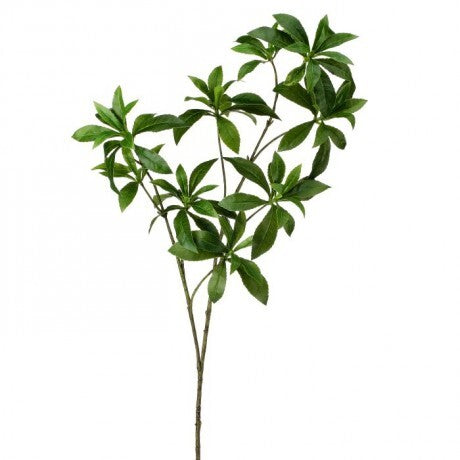 34" Green Pittesporum Spray