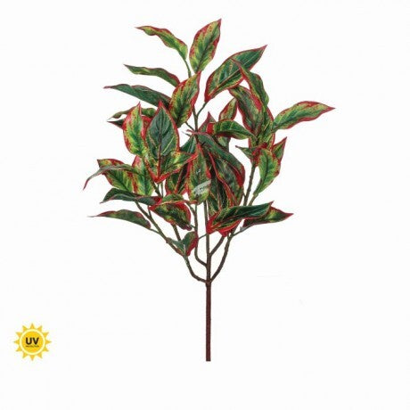 21" UV Green Red Cordyline Bush