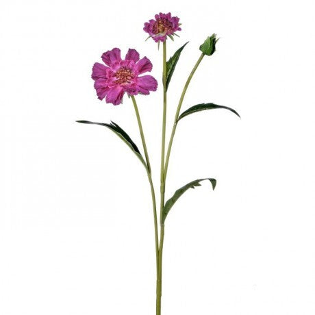 22" Beauty Double Scabiosa Spray