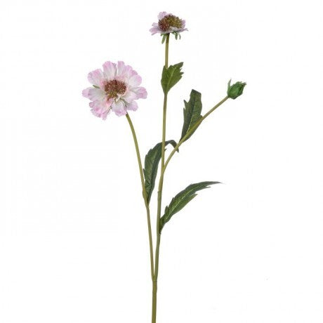 22" Pink Double Scabiosa Spray