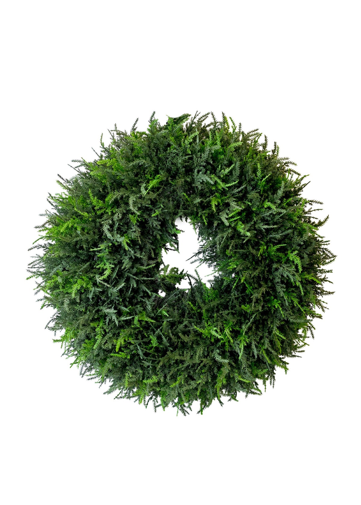 24" Cedar Wreath (CLR)