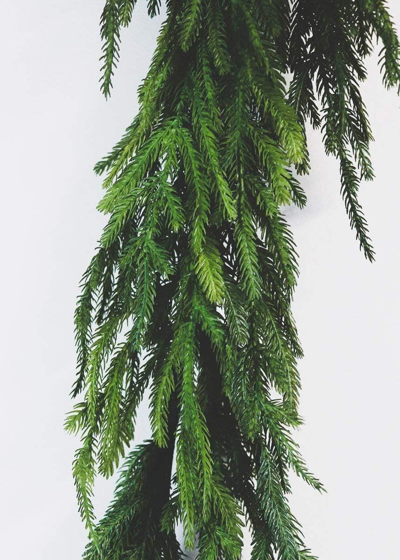 60" Green Real Touch Norfolk Pine Garland