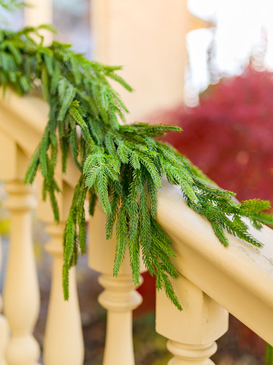 60" Green Real Touch Norfolk Pine Garland