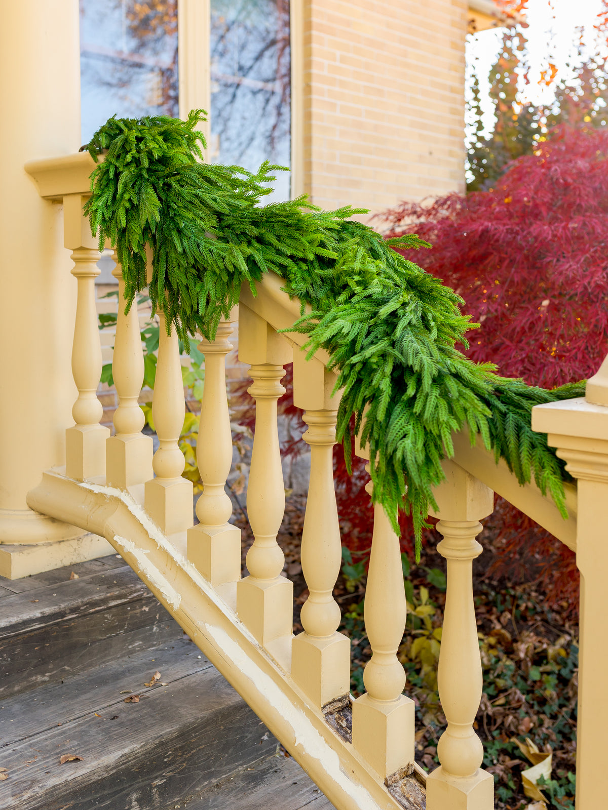 72" Real Touch Norfolk Pine Garland