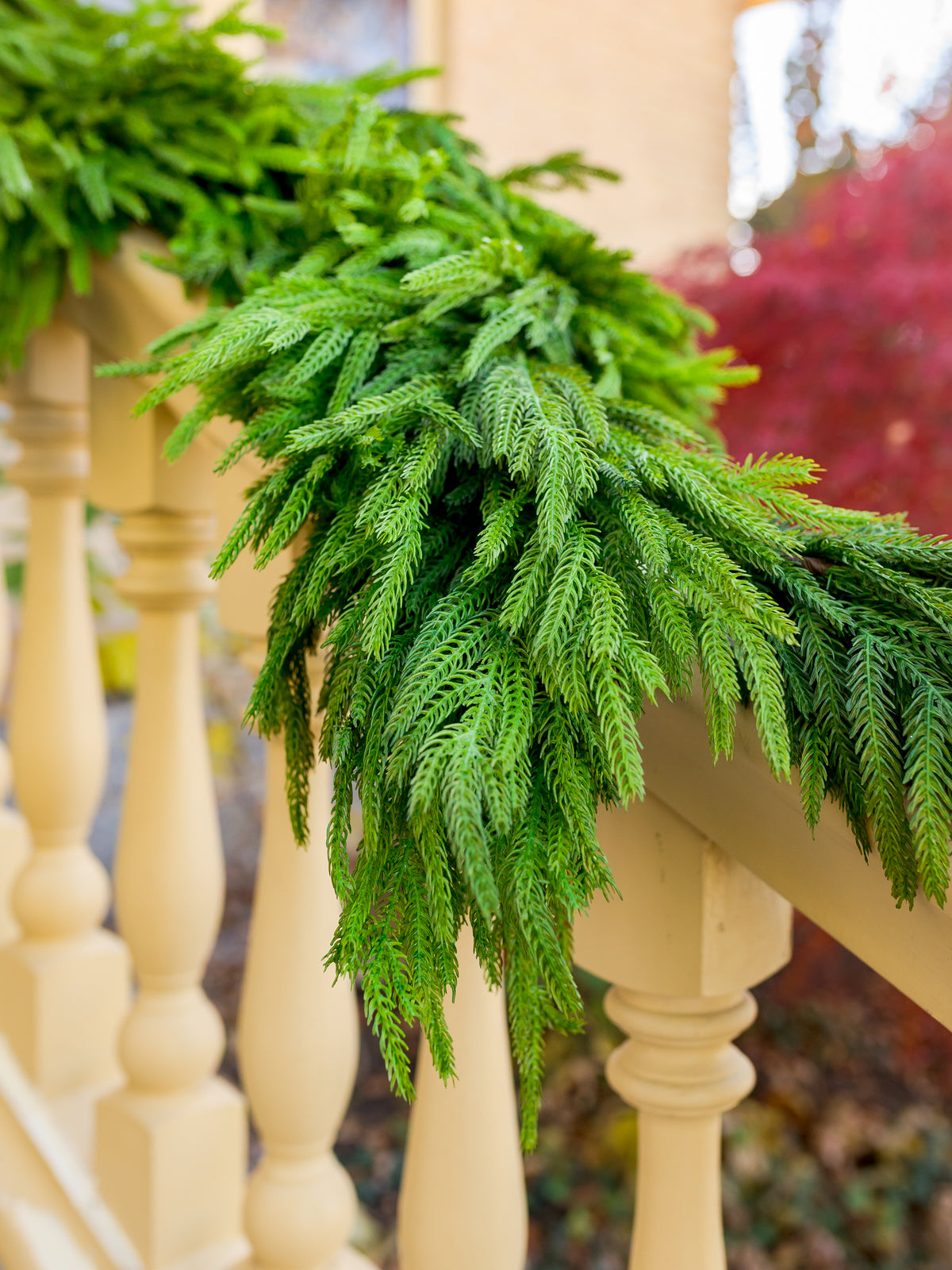 48" Real Touch Norfolk Pine Garland