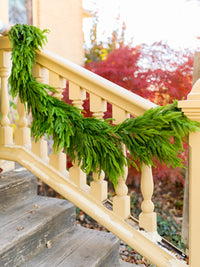 72" Real Touch Norfolk Pine Garland