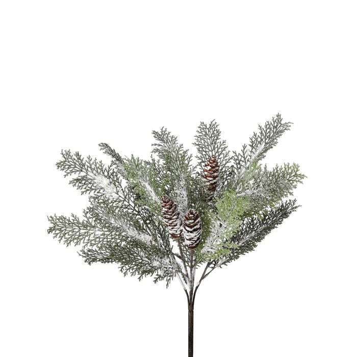 19" Green/Frost Acacia Winter Bush With Cones