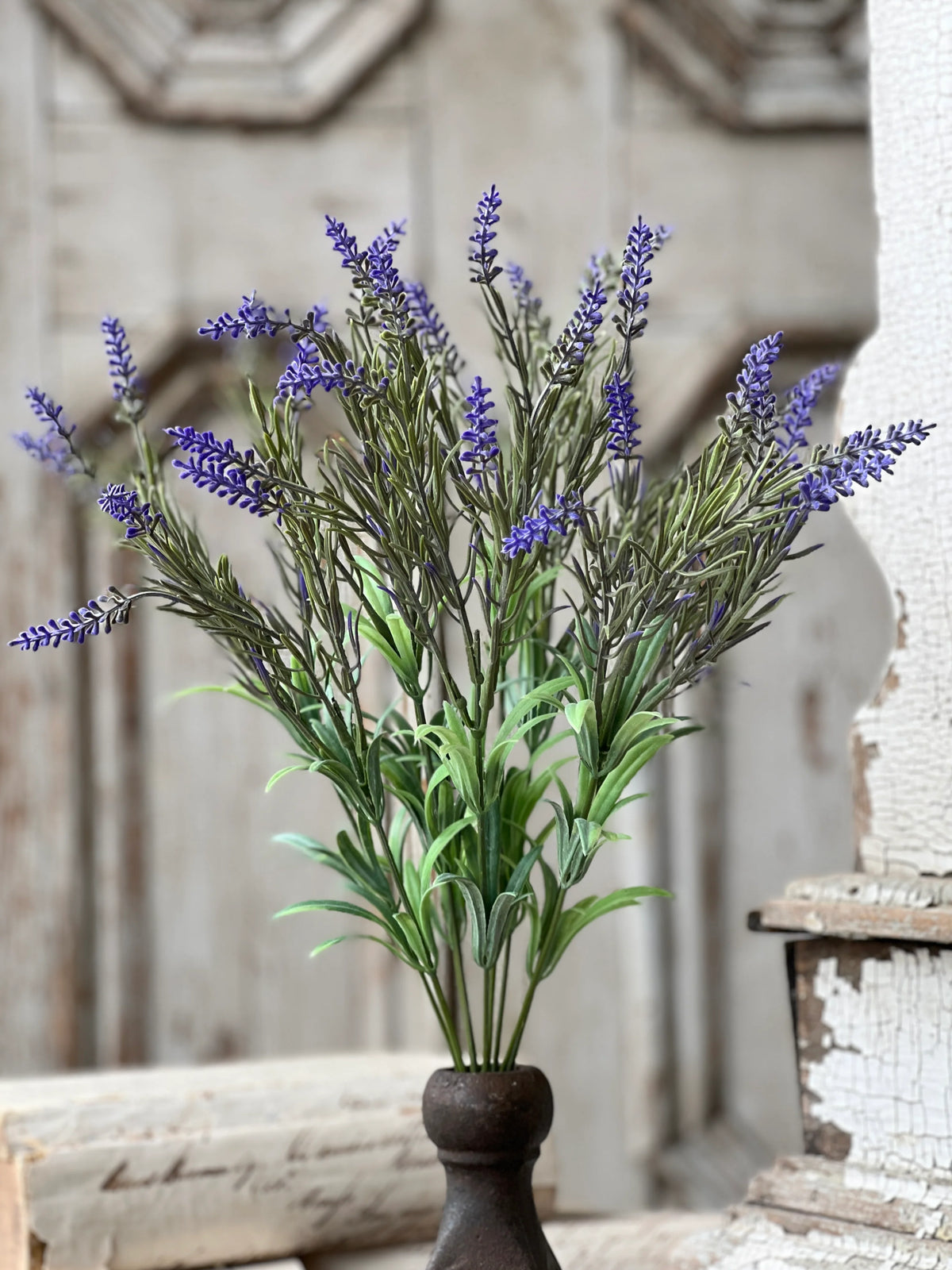 18" Lancer Lavender Bush