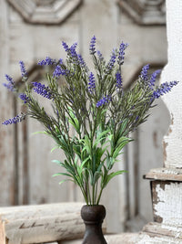 18" Lancer Lavender Bush