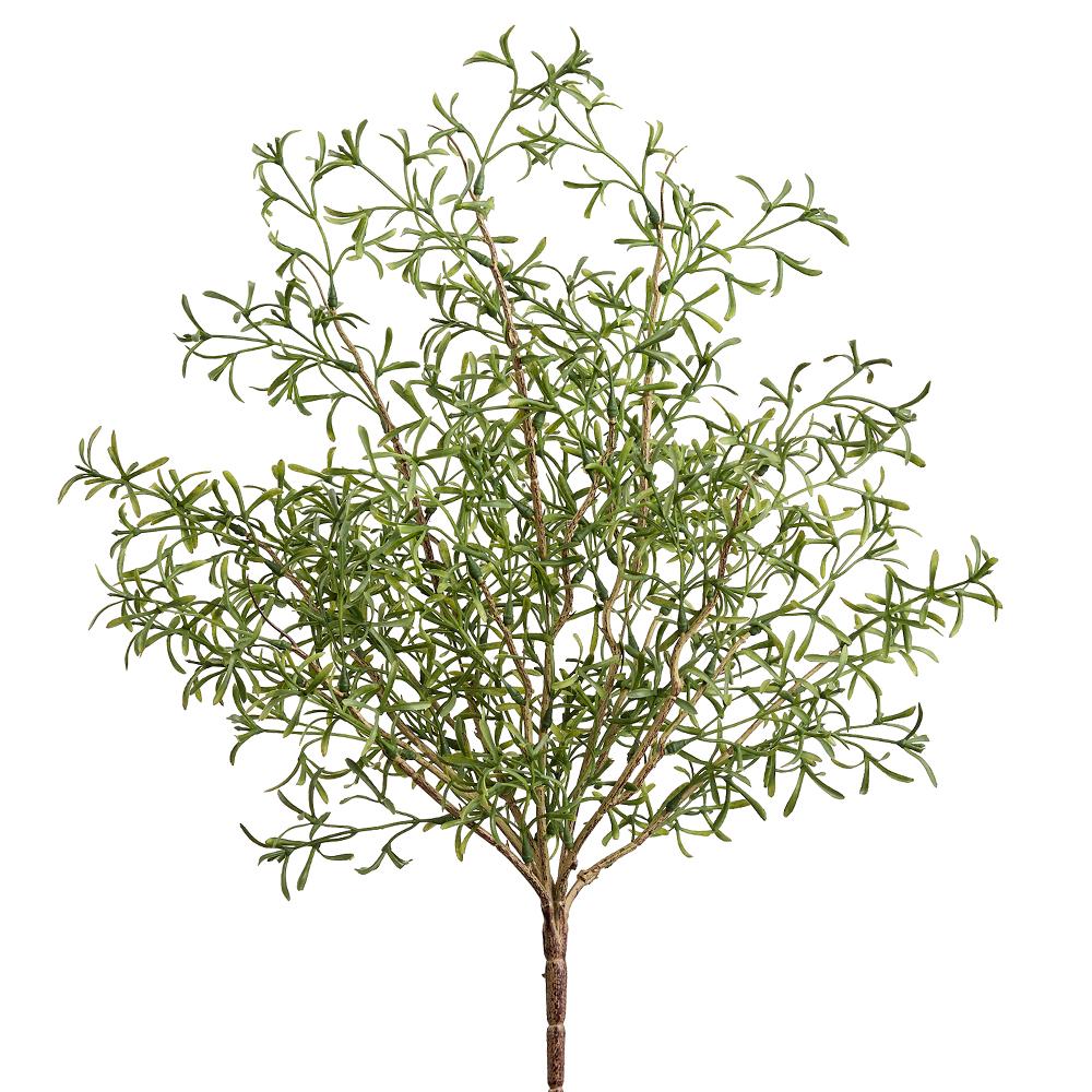 22" Green Crystalwort Bush