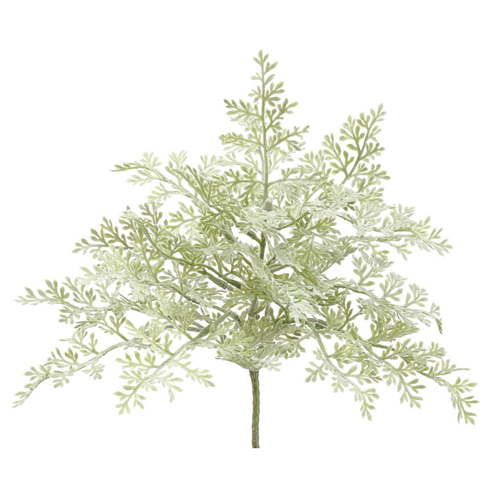 8" Dusty Miller Bush, Green/Gray