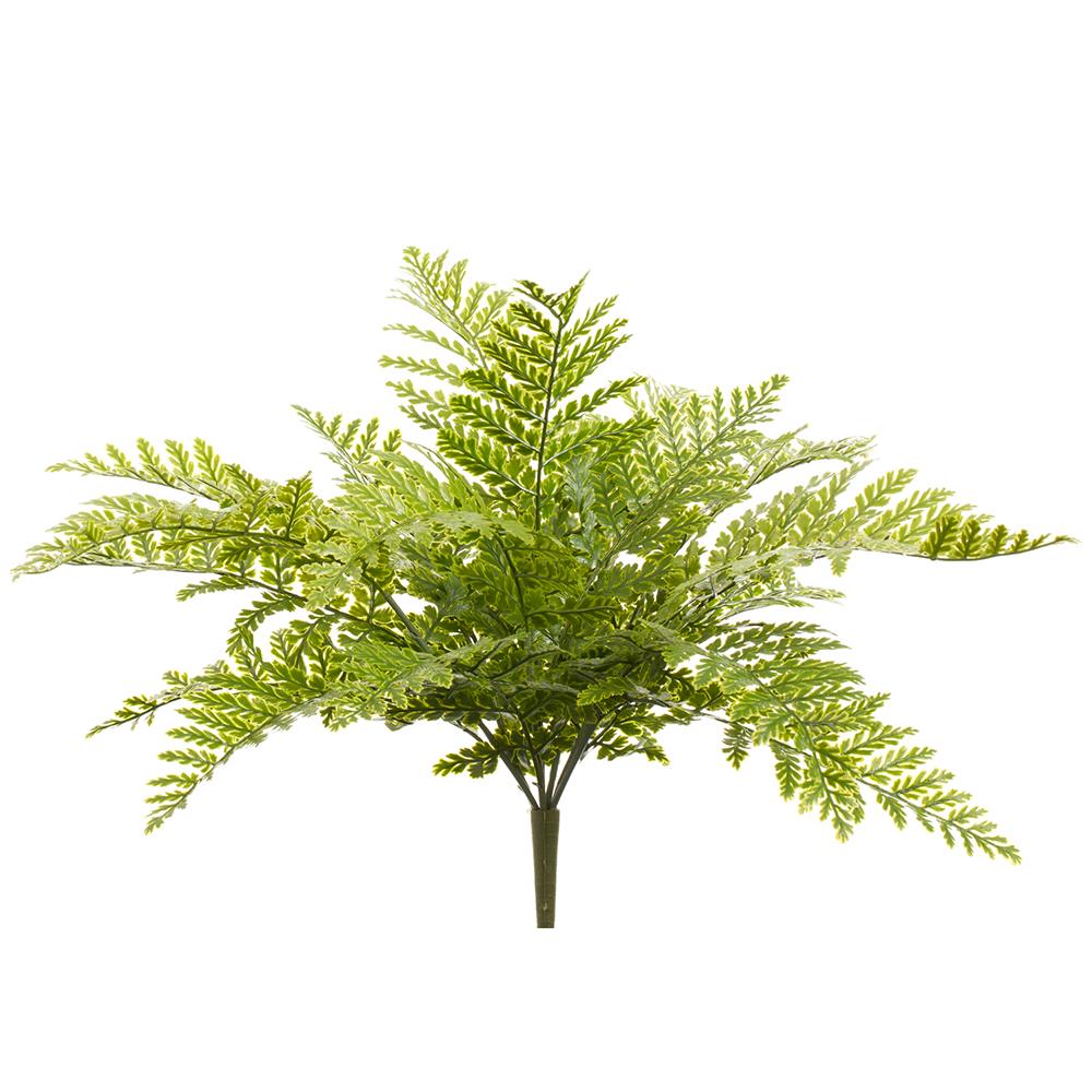 21" Green Fern Leather Bush