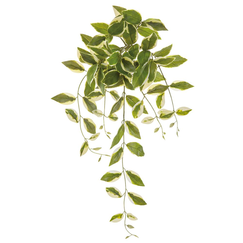 28" Cream/Green Hoya Carnosa Leaf Bush