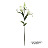35" Asiatic White Lily
