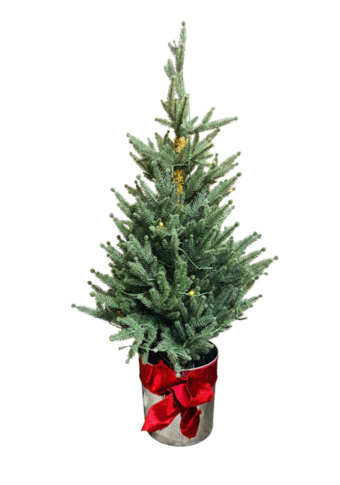 3' Pre-Lit Tree with Bucket