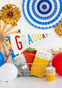Blue And White Party Fan Set