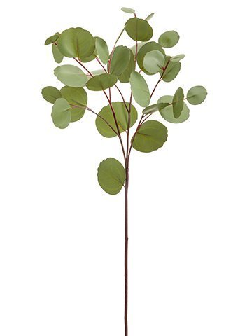 26" Green/Grey Eucalyptus Leaf Spray