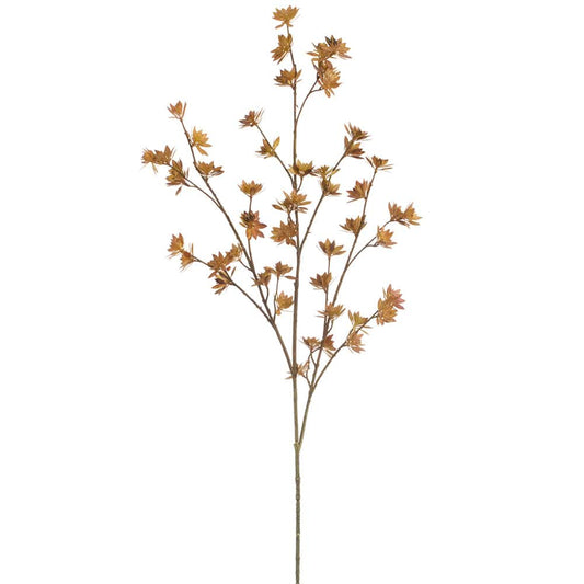 42″ Flowering Pod Spray Brown