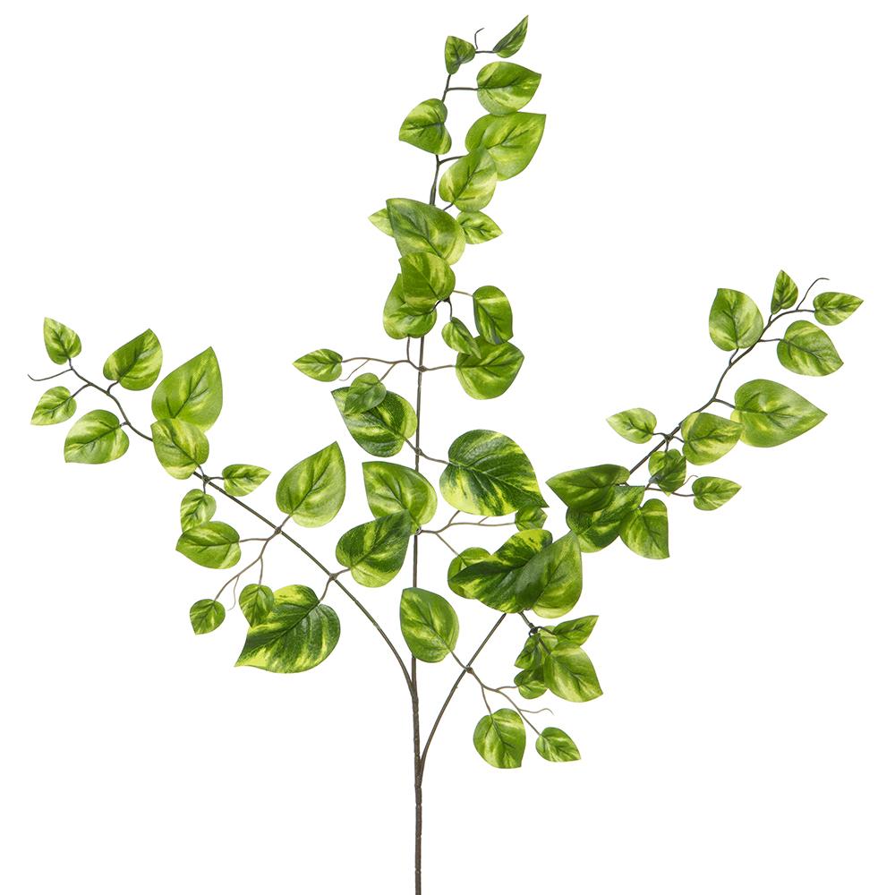pothos mini 22" Mini Pothos Leaf Spray, Green – Modern Display