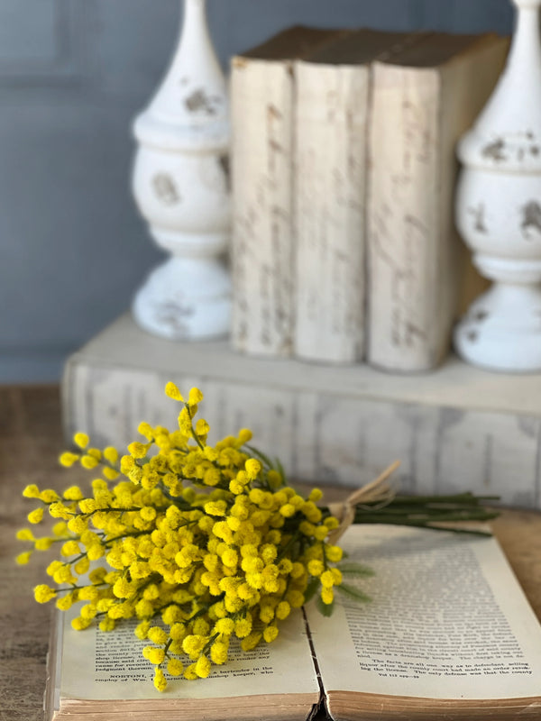 13" Medallion Mimosa Bundle
