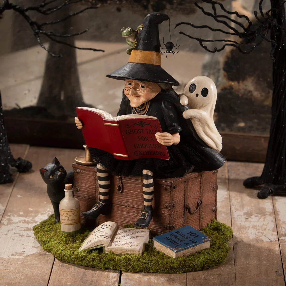 Witch Ghost Stories - Bethany Lowe